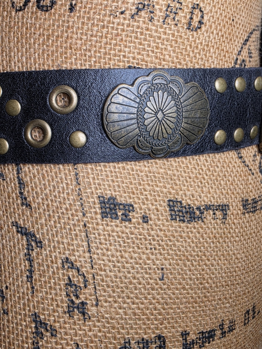 Black Studded Faux Leather Belt with Antique Brass Buckle - Picture 2 of 6